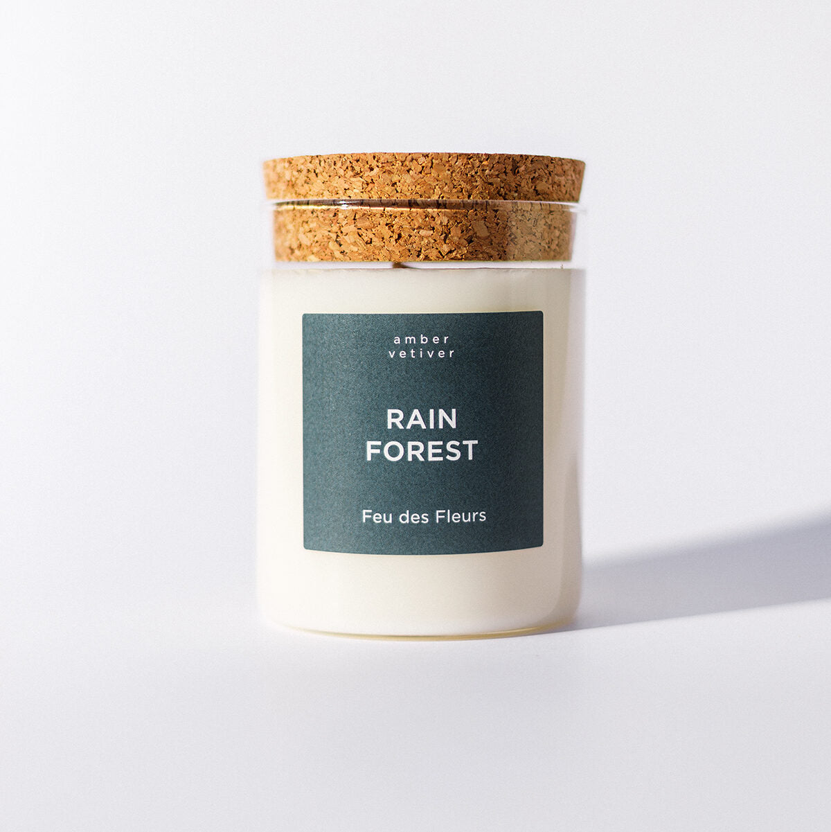 Mini Rain Forest