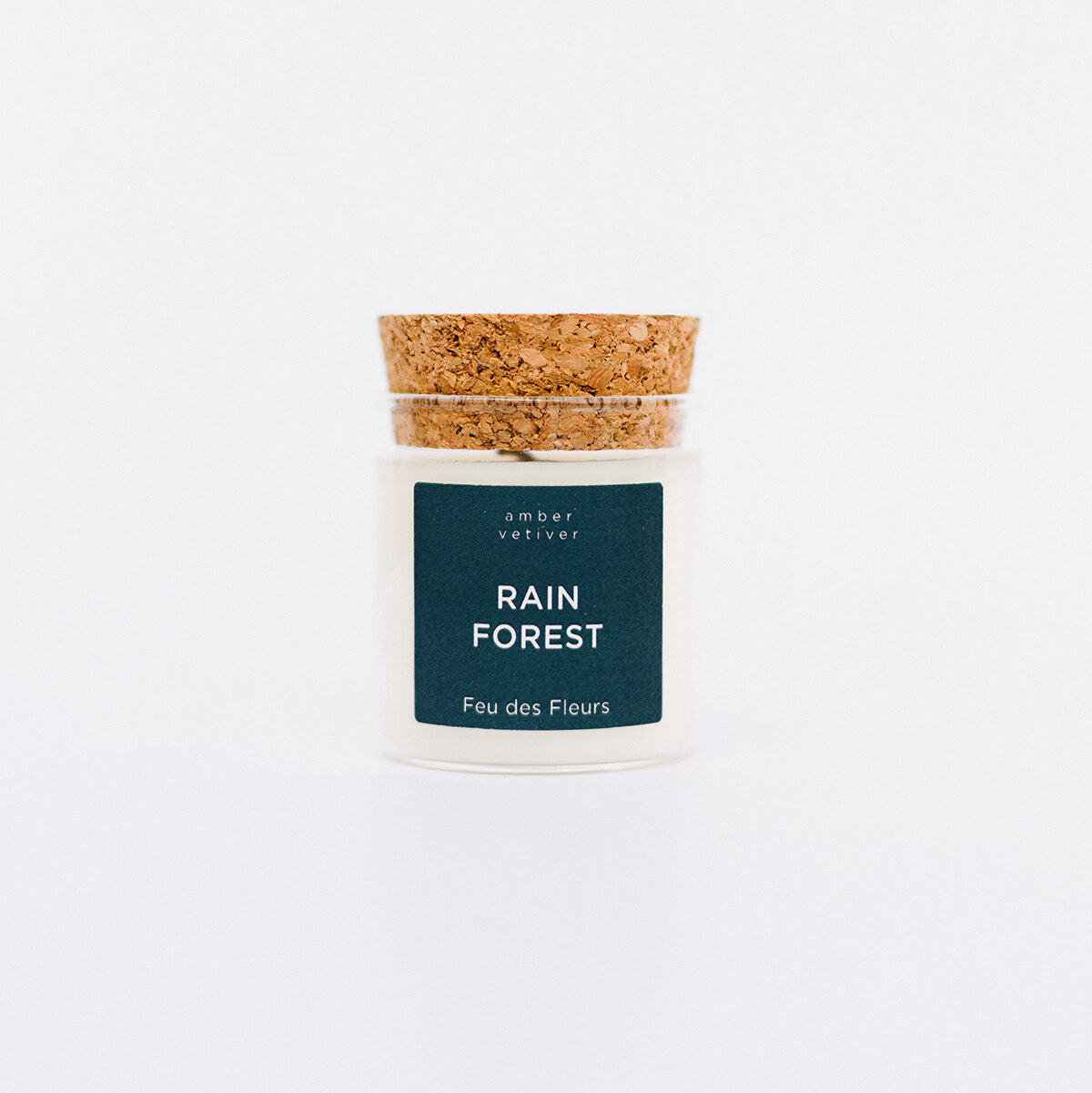 Mini Rain Forest