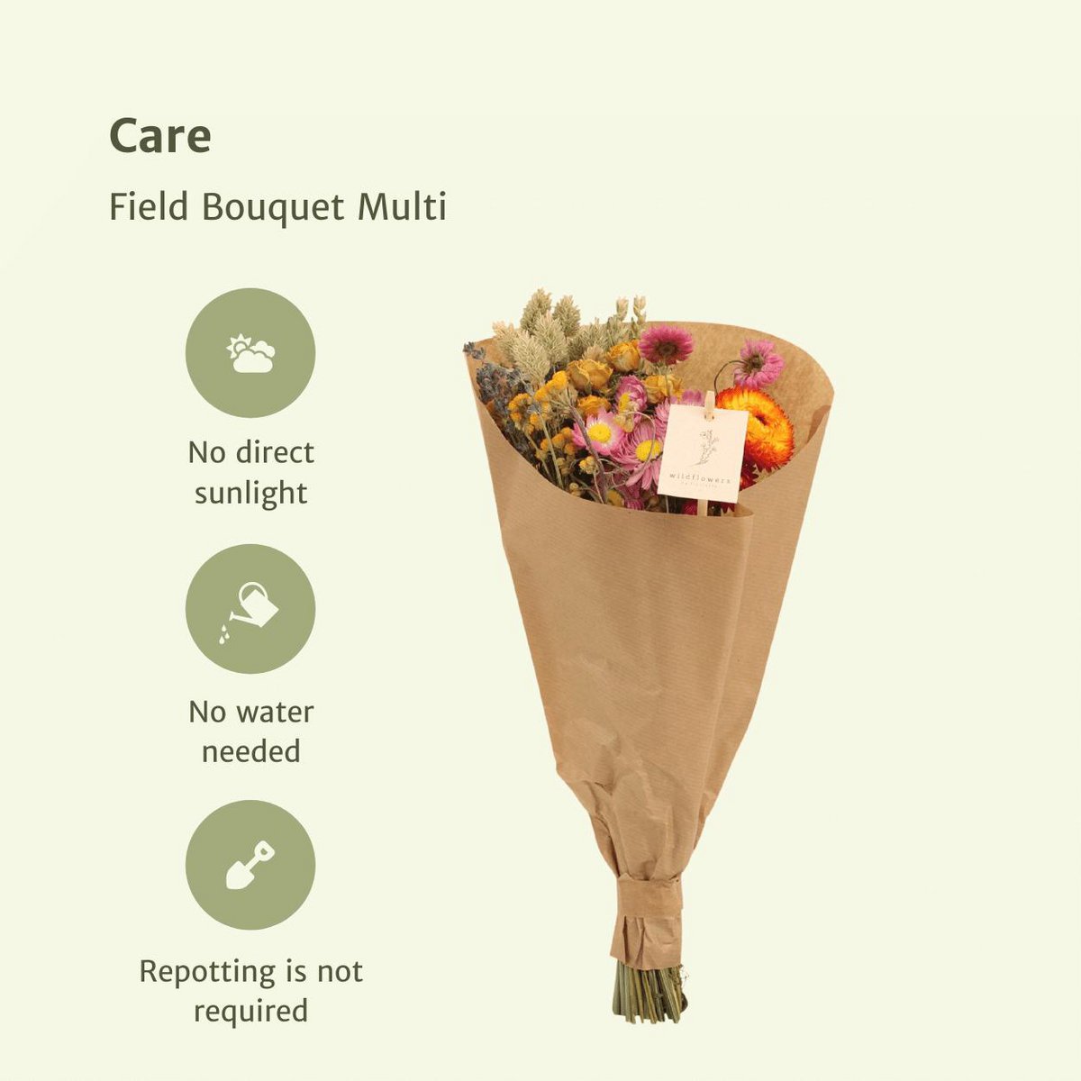 Droogbloemen Veldboeket  multi Ø15 - ↨35 cm