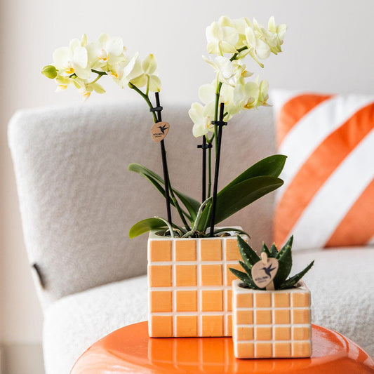 Orange Cube Canvas Keramiek sierpot  Ø6cm