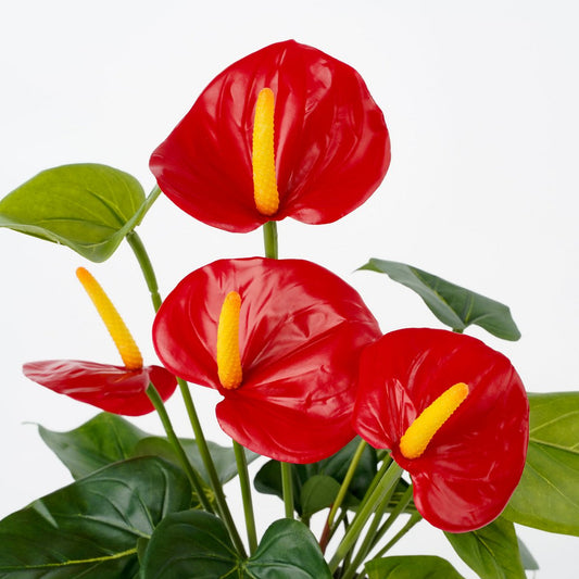 Anthurium Kunstplant in Bloempot Stan H38 x Ø30 cm Rood