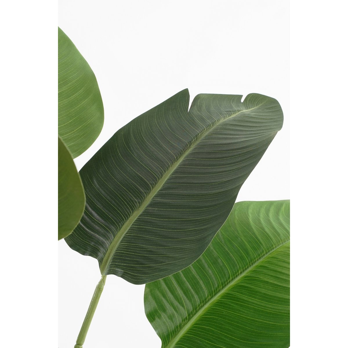 Kunstplant Bananenboom H120 x Ø30 Groen