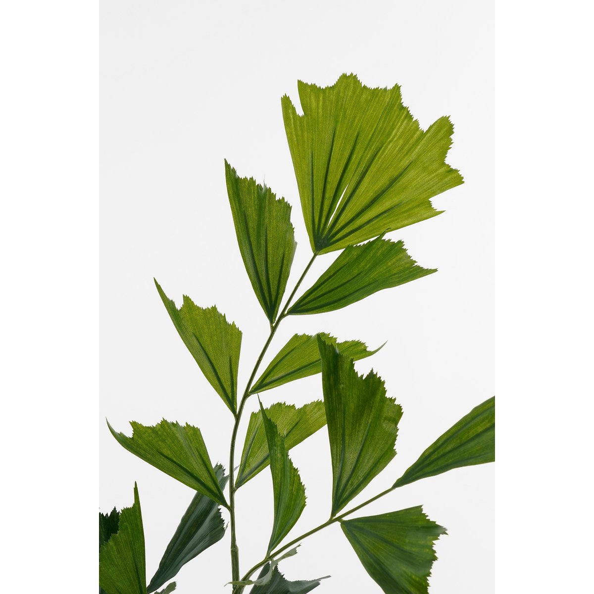 Caryota Vissenstaart Palm Kunstplant in Pot H150 x Ø100 cm Groen