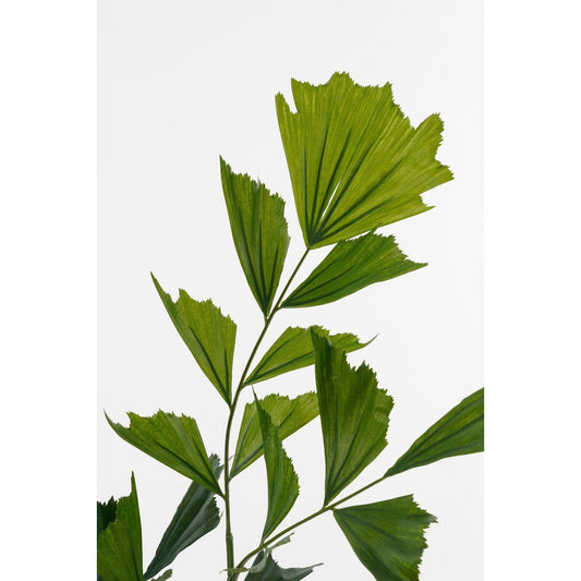 Caryota Vissenstaart Palm Kunstplant in Pot H150 x Ø100 cm Groen