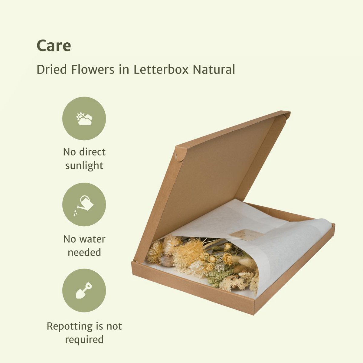 Droogbloemen Brievenbuspakket  multi natuurlijk
