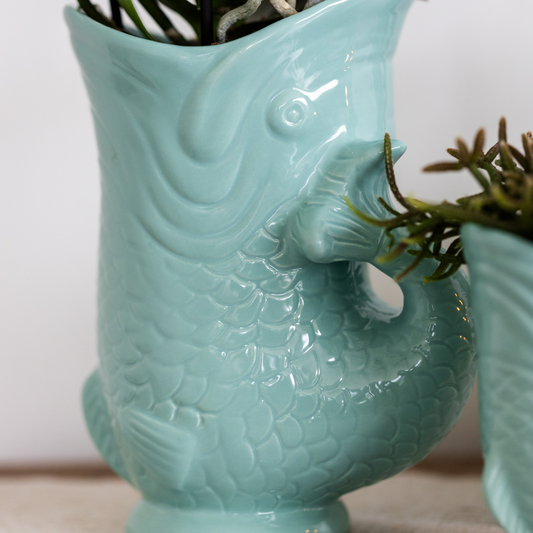 Planten set Vis Turquoise met witte Phalaenopsis orchidee Amabilis Ø9cm en groene plant Succulent Crassula Hobbit Ø6cm incl. turquoise keramieken sierpotten