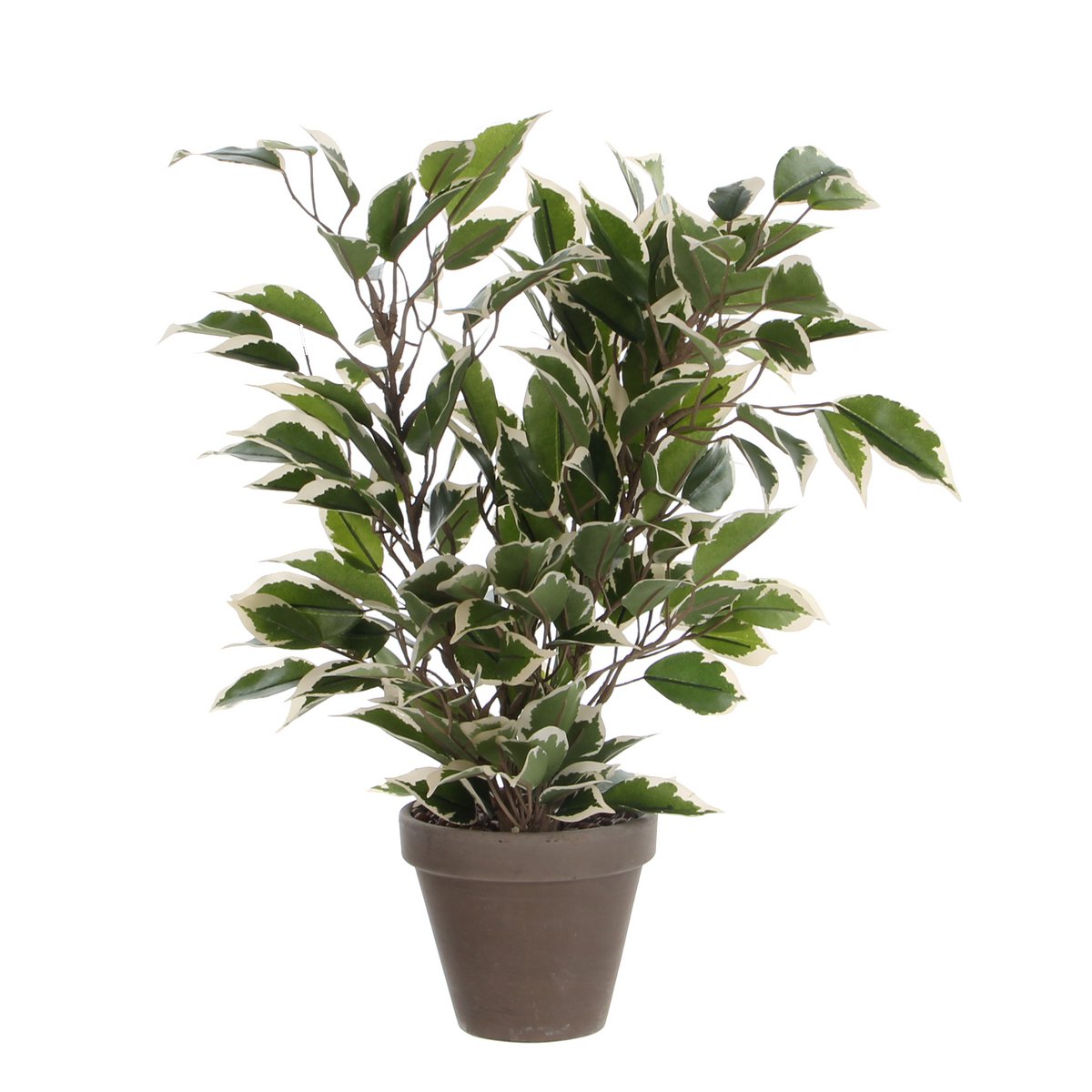 Ficus Natasja Kunstplant in Bloempot Stan H40 x Ø30 cm Groen Bont
