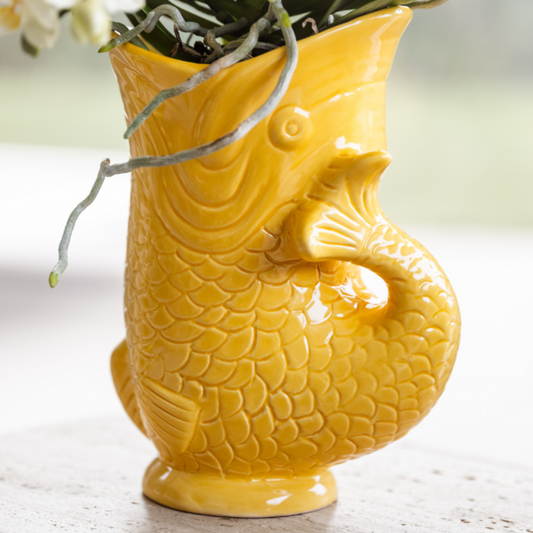 Set van witte orchidee Sierlijke Gele Vis Bloempot Potmaat Ø9cm en Ø6cm bloeiende kamerplant