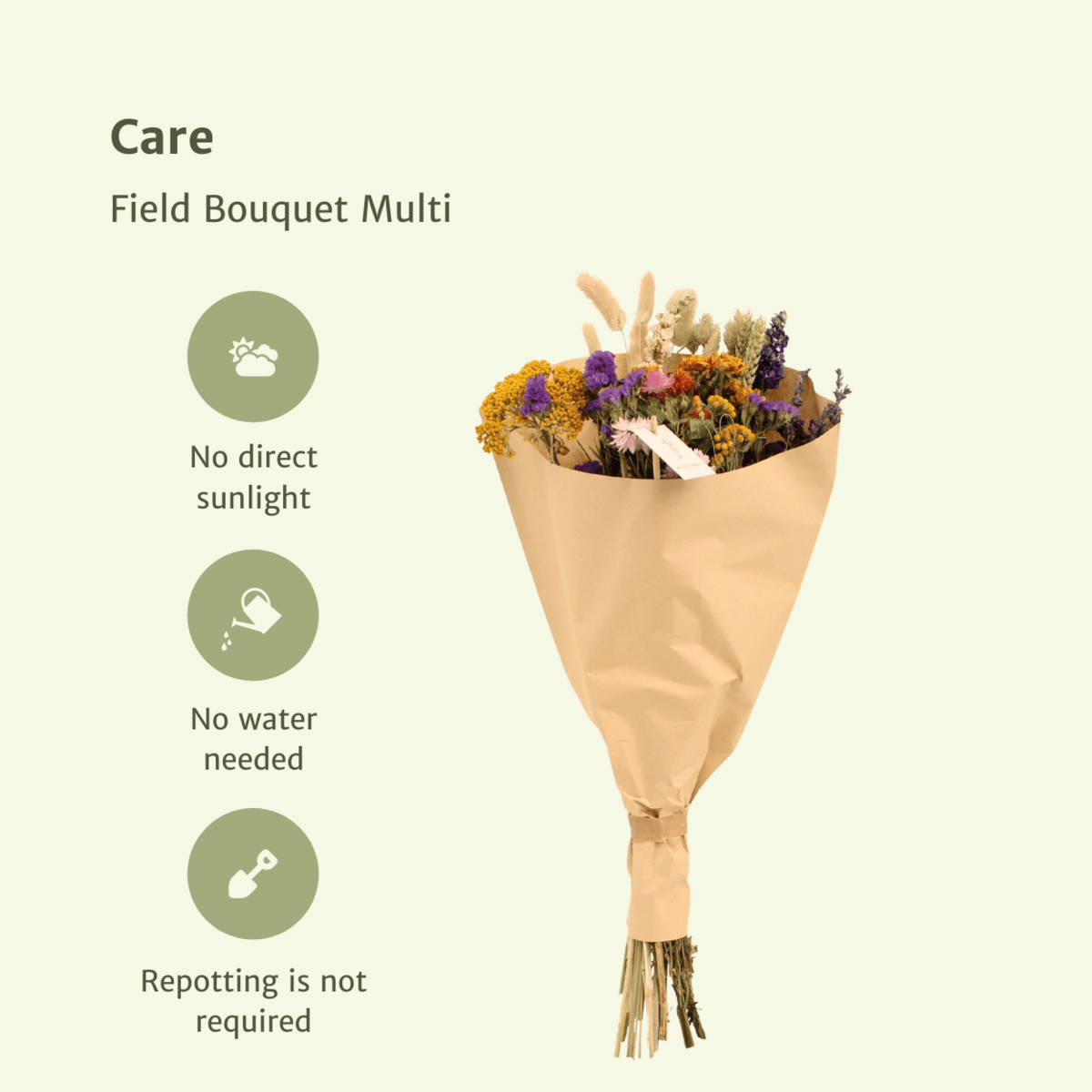 Droogbloemen Veldboeket Multi  Ø25cm - ↕60cm