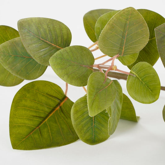 Eucalyptus Kunstplant L12 x B28 x H64 cm Groen