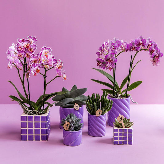 Lilac Cube Canvas Keramiek sierpot  Ø9