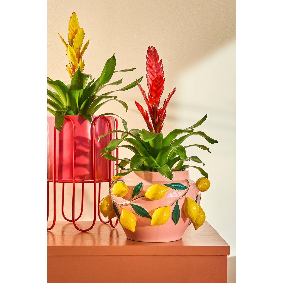 Citroen Bloempot Binnen H19 x Ø29 cm Keramiek Lichtroze