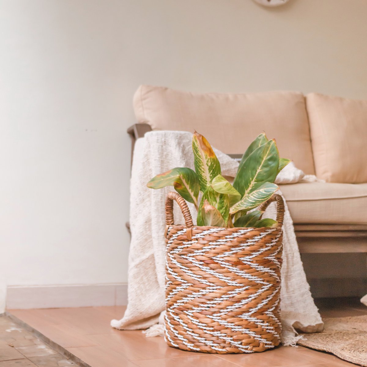Ilona Geweven Opbergmand | Plantenmand van waterhyacint 3 maten