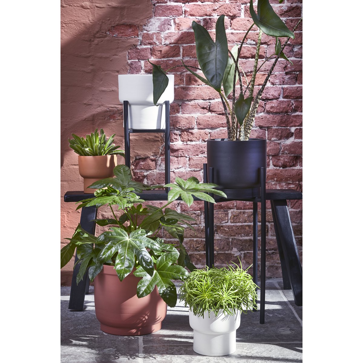 Flora Plantenstandaard XL L38 x B38 x H71 cm Metaal Zwart