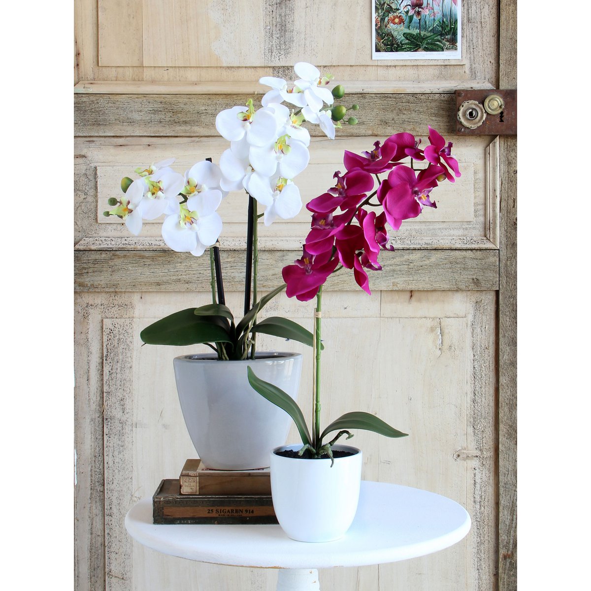 Phalaenopsis Kunstplant in Bloempot Tusca H60 x Ø16 cm Paars