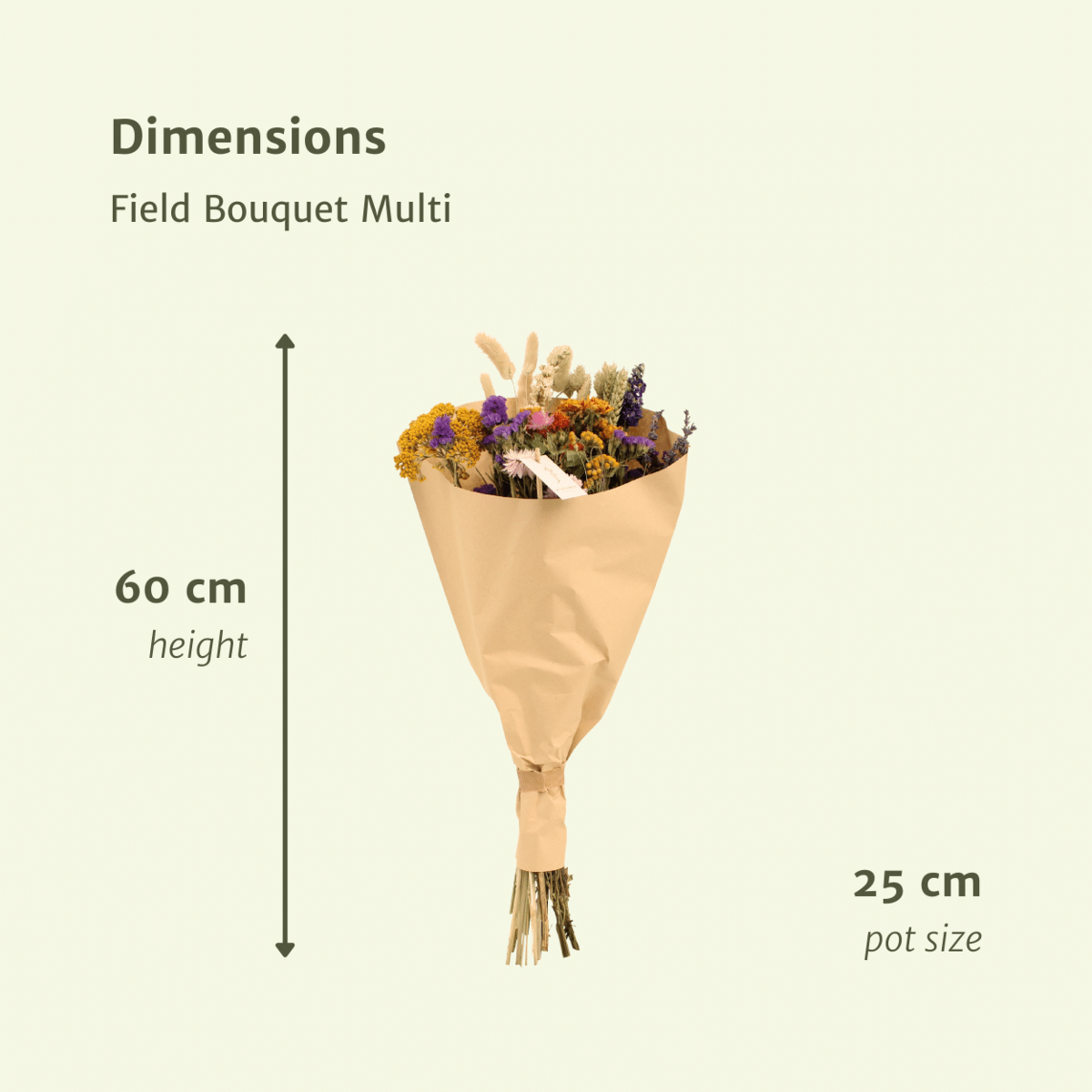 Droogbloemen Veldboeket Multi  Ø25cm - ↕60cm