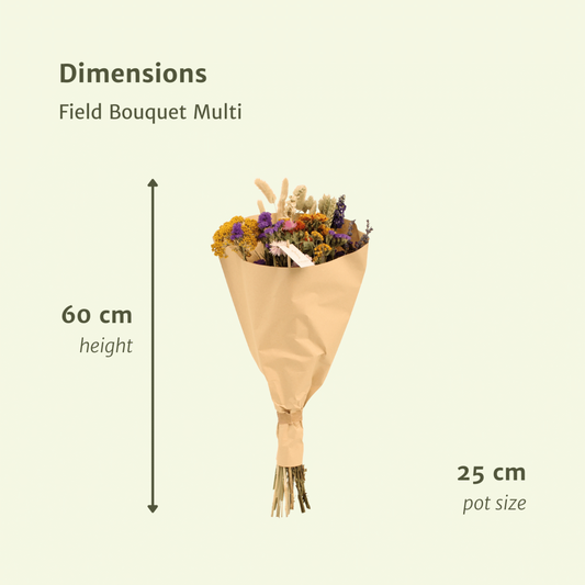 Droogbloemen Veldboeket Multi  Ø25cm - ↕60cm