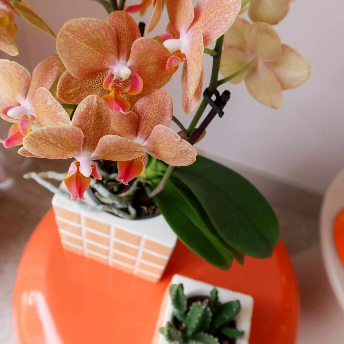 Orange Cube Canvas Keramiek sierpot  Ø6cm