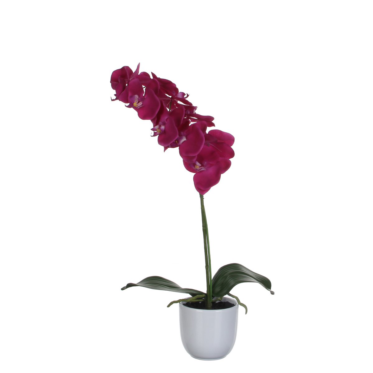 Phalaenopsis Kunstplant in Bloempot Tusca H60 x Ø16 cm Paars