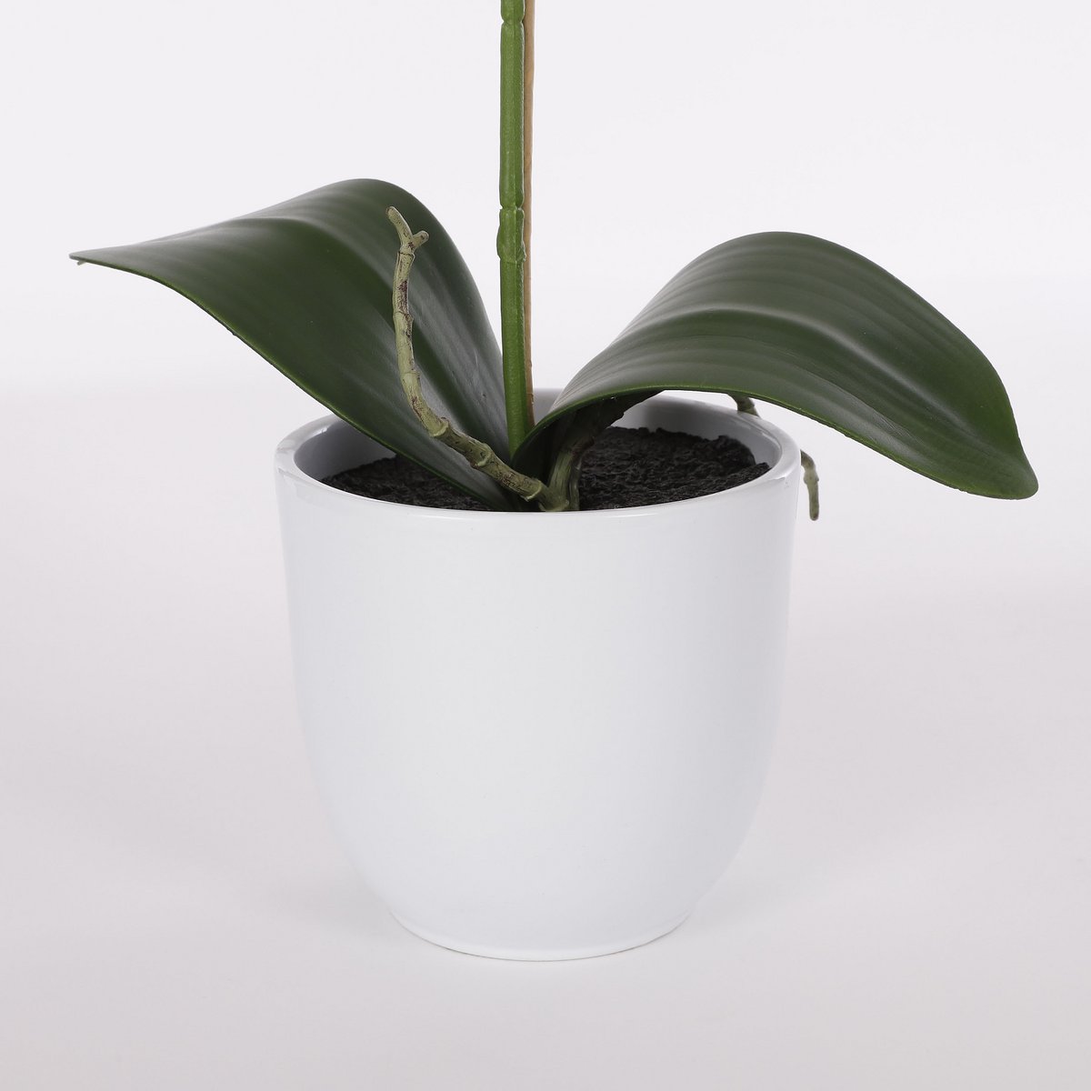 Phalaenopsis Kunstplant in Bloempot Tusca H60 x Ø16 cm Paars