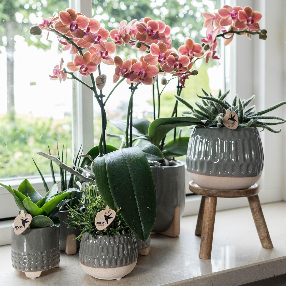 Houten krukje plantenstandaard Ø12cm