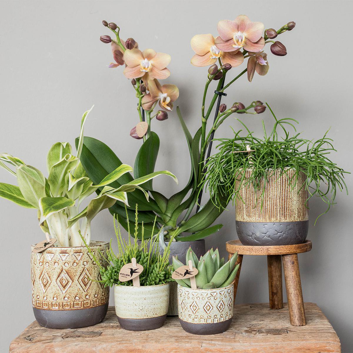 Houten krukje plantenstandaard Ø12cm