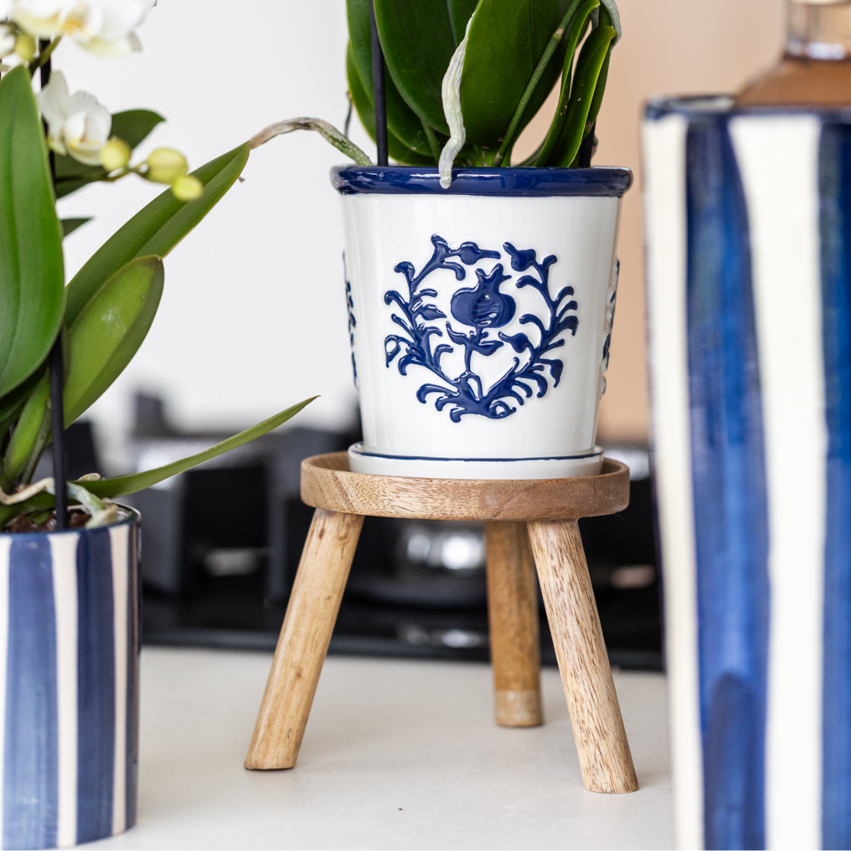 Witte orchidee Dutch Blauw Sierpot Wit Ø9cm