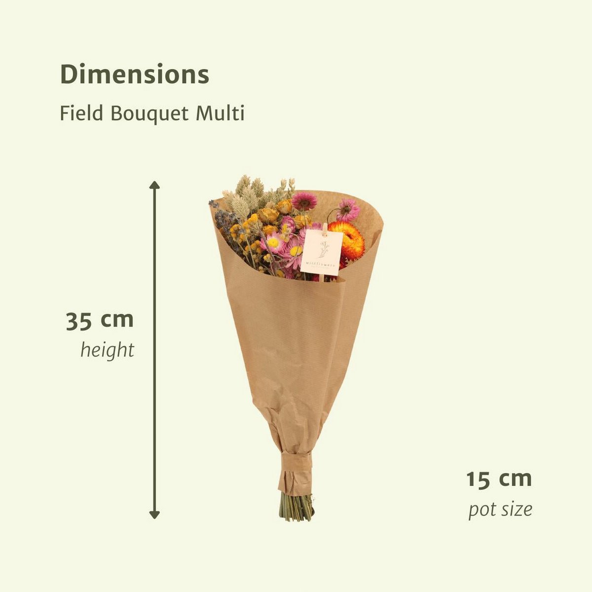 Droogbloemen Veldboeket  multi Ø15 - ↨35 cm