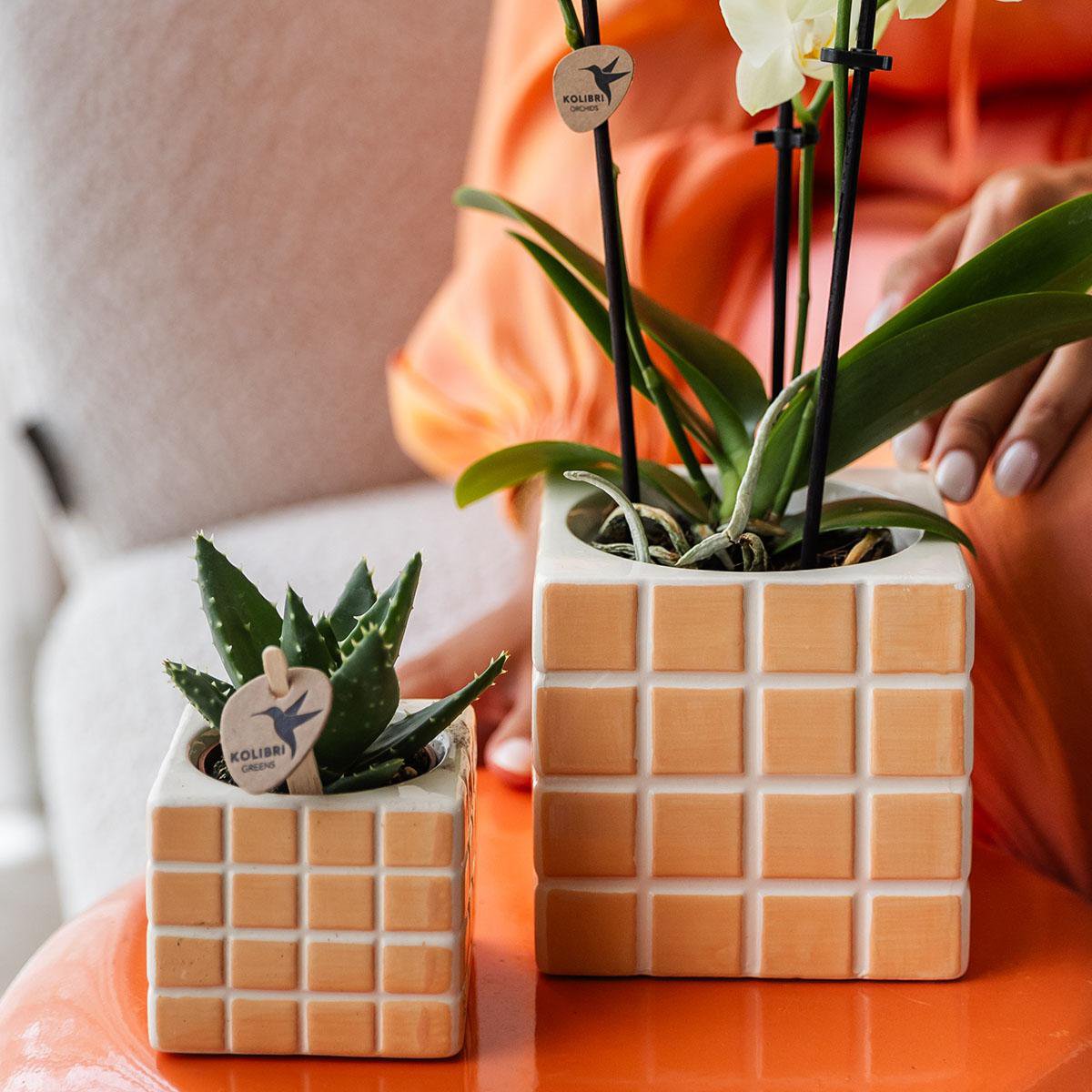 Orange Cube Canvas Keramiek sierpot  Ø6cm