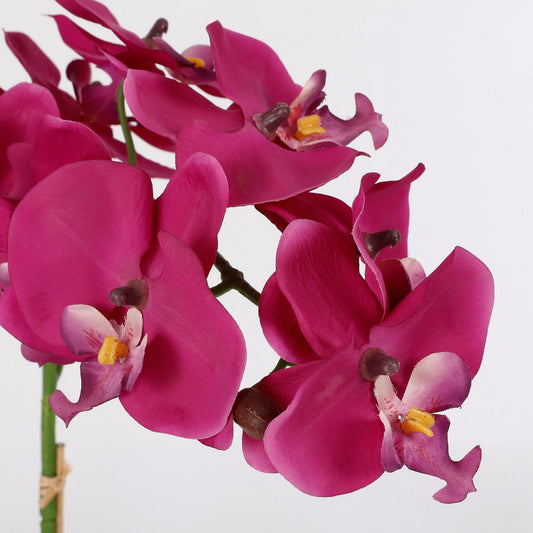 Phalaenopsis Kunstplant in Bloempot Tusca H60 x Ø16 cm Paars