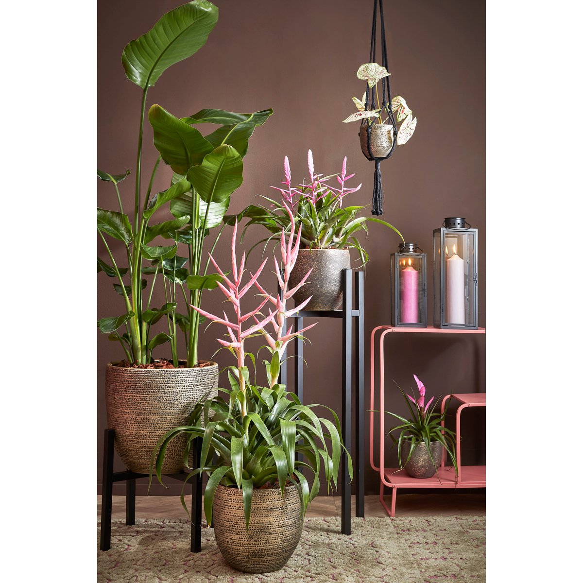 Flora Plantenstandaard XL L46 x B46 x H40 cm Metaal Zwart