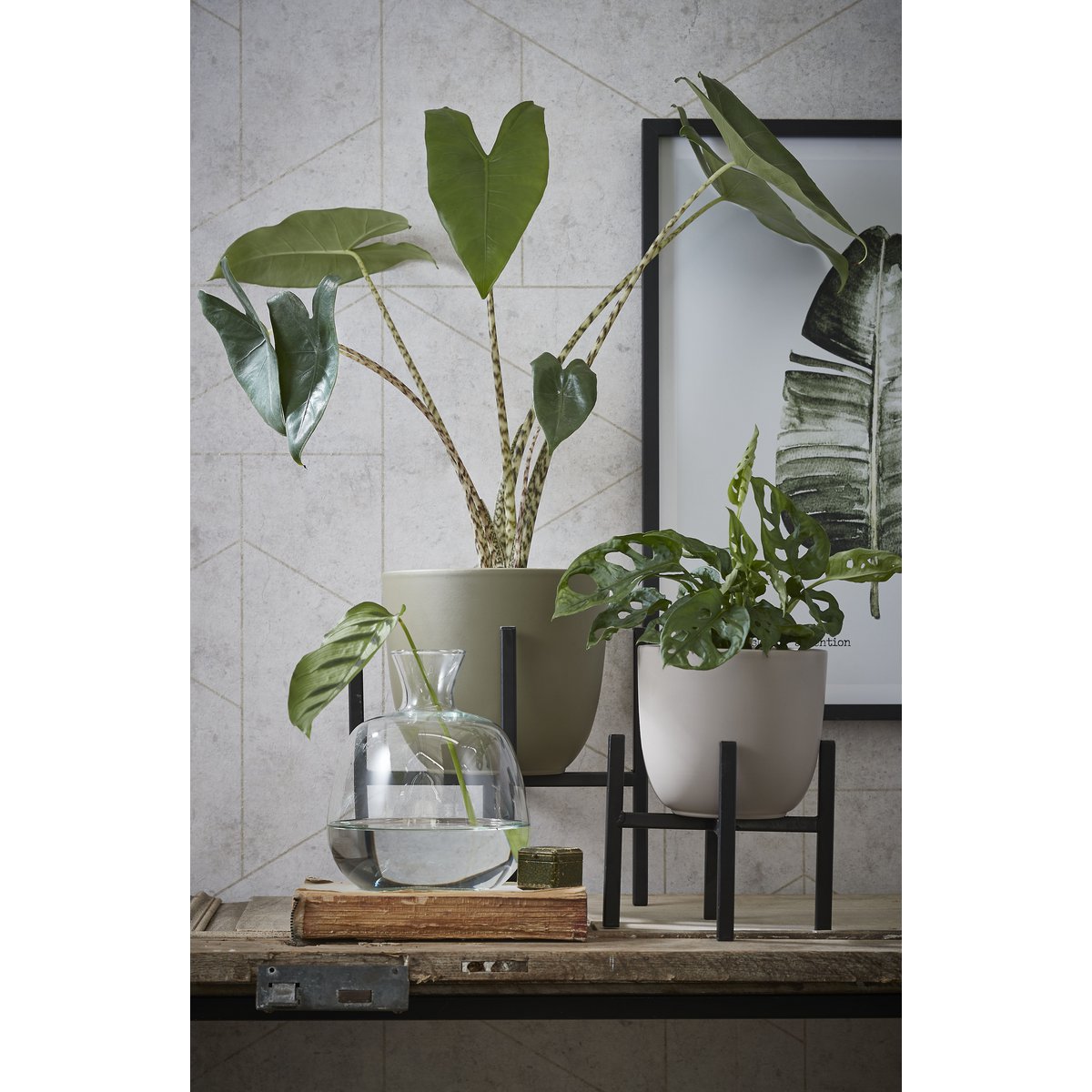 Flora Plantenstandaard L24 x B24 x H25 cm Metaal Zwart
