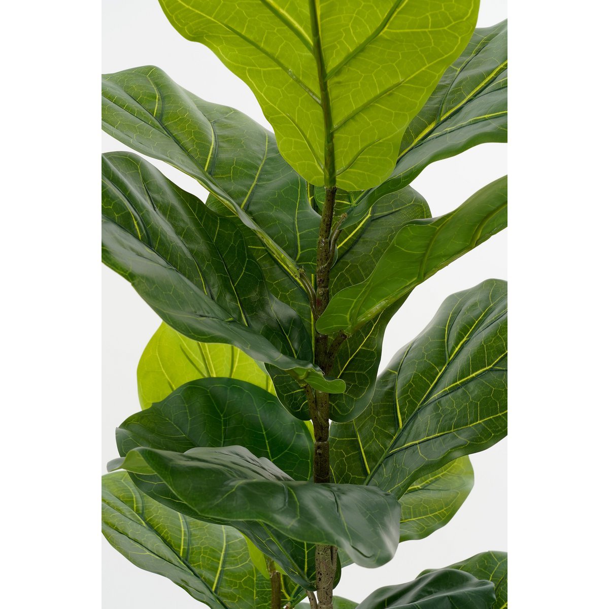 Ficus Lyrata Kunstplant in Pot H150 x Ø50 cm Groen