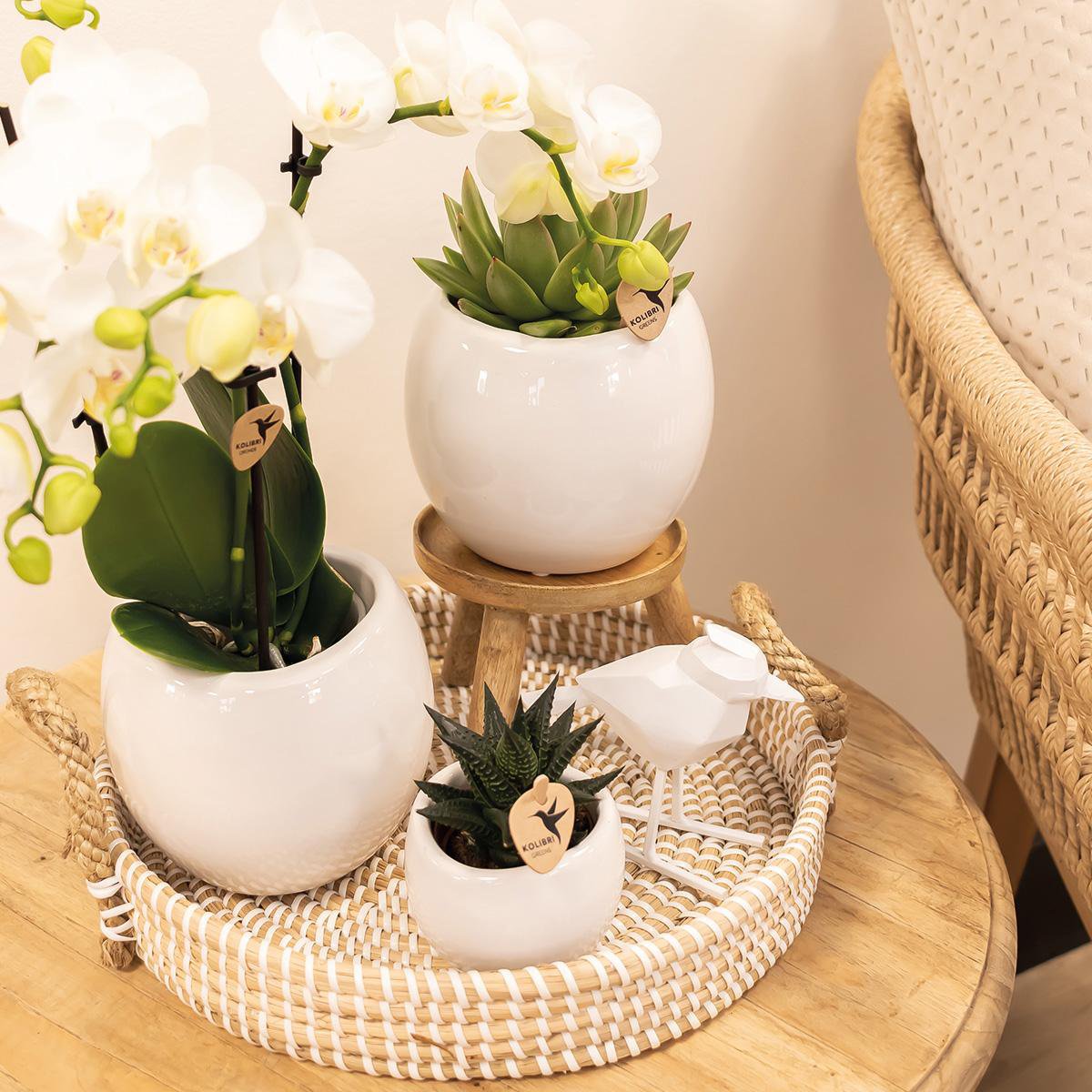 Flow bloempot keramiek wit Ø9cm