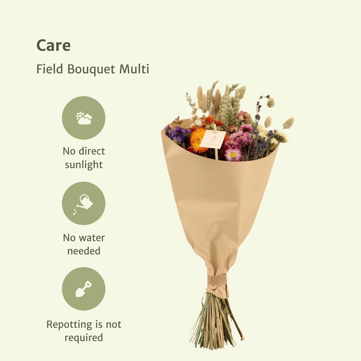 Droogbloemen veldboeket multi Ø20 - ↨50 cm