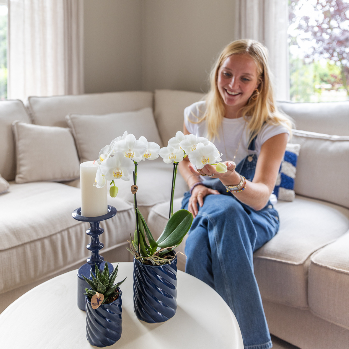 Gift Set van witte orchidee Amabilis en succulent in Snoep sierpotten blauw