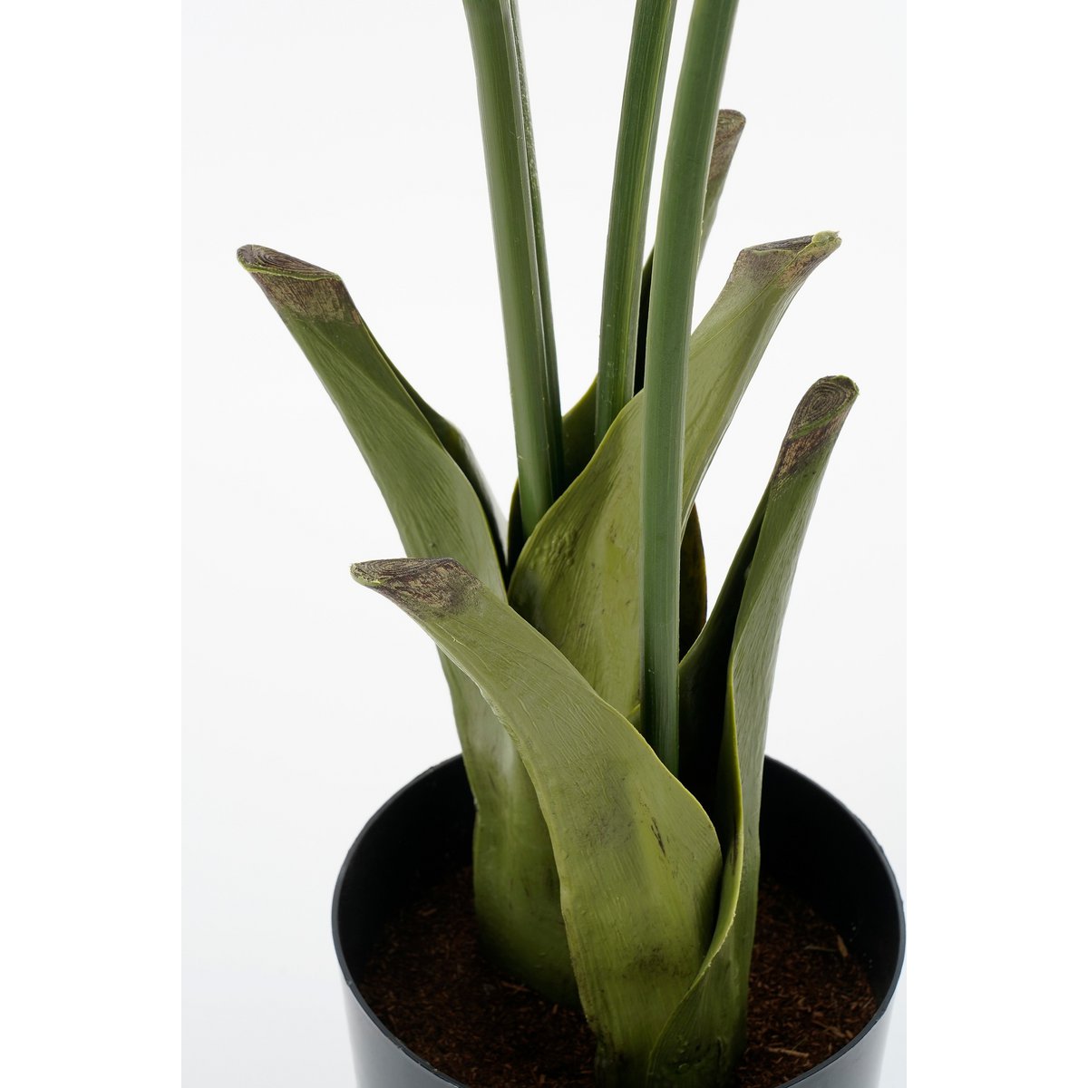 Caryota Vissenstaart Palm Kunstplant in Pot H150 x Ø100 cm Groen