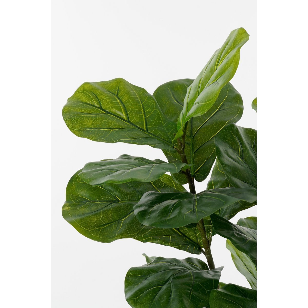 Ficus Lyrata Kunstplant in Pot H150 x Ø50 cm Groen