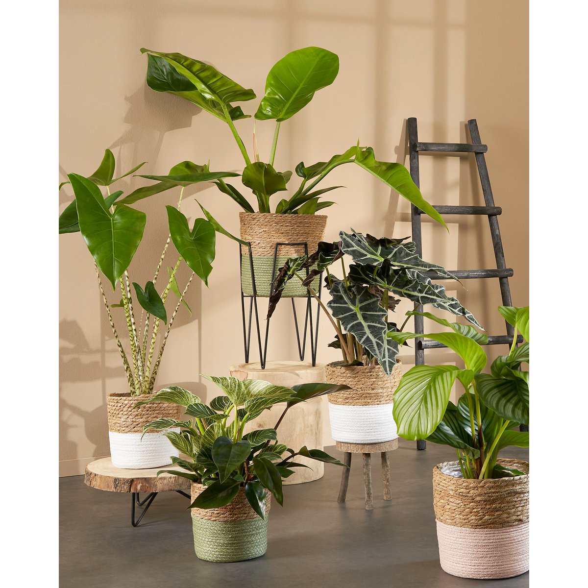 Terra Plantenstandaard L25 x B25 x H38 cm Metaal Zwart