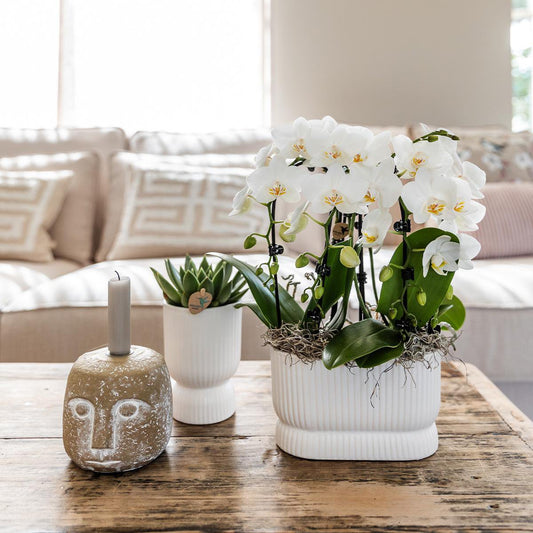 Elegance pot White  Keramiek Ø12cm