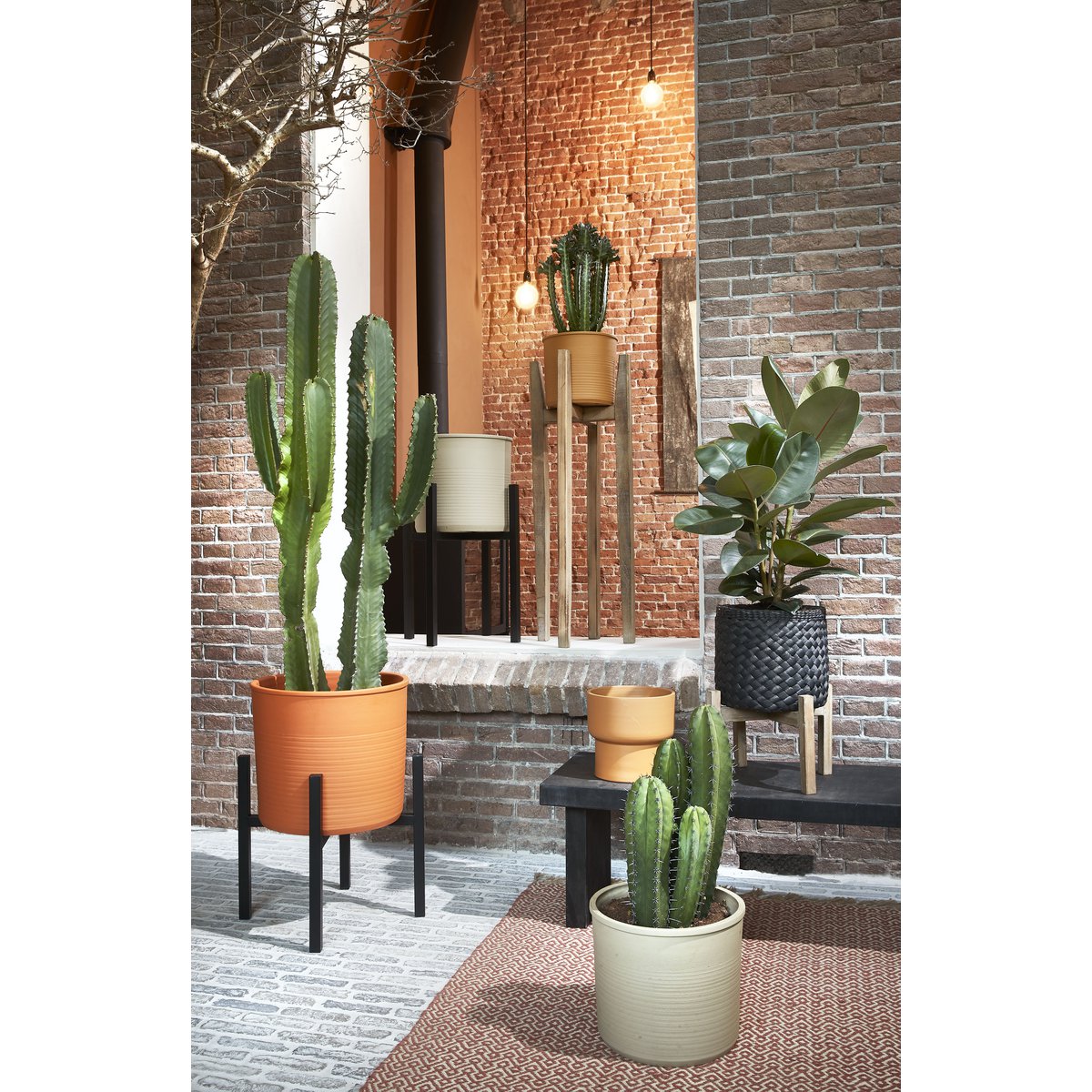 Flora Plantenstandaard XL L46 x B46 x H40 cm Metaal Zwart