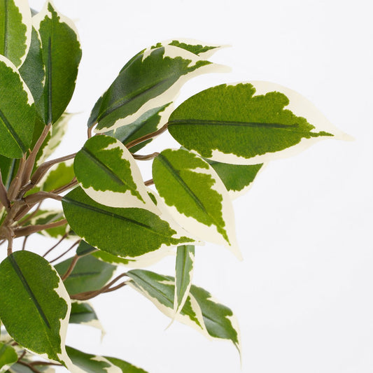 Ficus Natasja Kunstplant in Bloempot Stan H40 x Ø30 cm Groen Bont