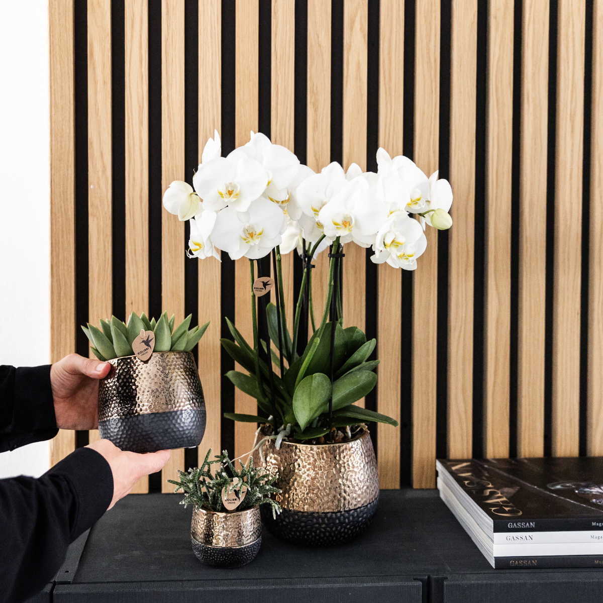 Bundel van 2 witte Phalaenopsis orchideeën potmaat Ø12cm
