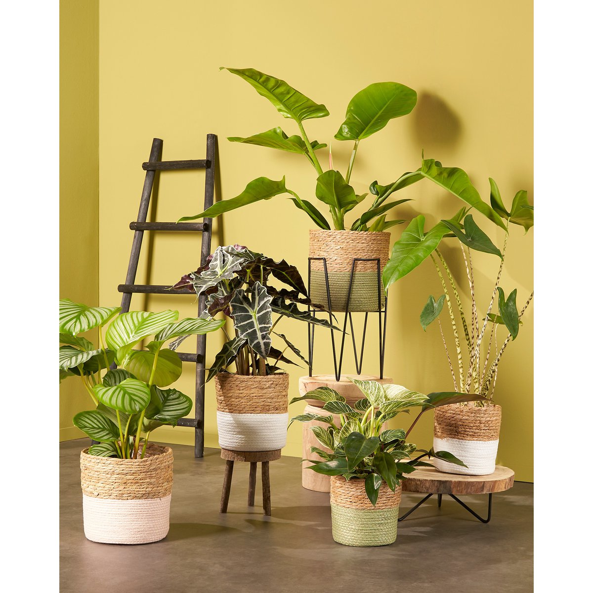 Terra Plantenstandaard L25 x B25 x H38 cm Metaal Zwart