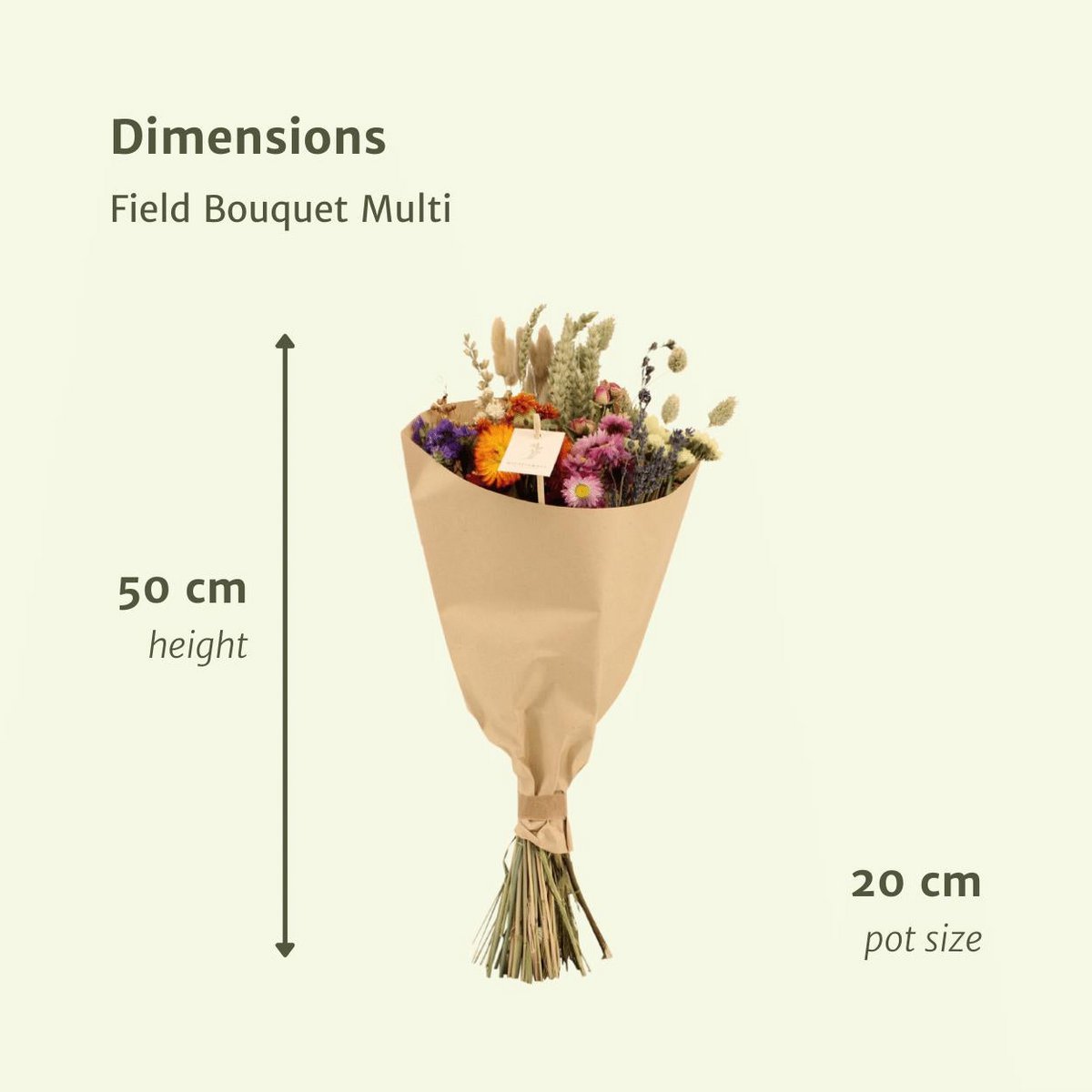 Droogbloemen veldboeket multi Ø20 - ↨50 cm