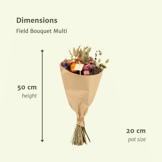 Droogbloemen veldboeket multi Ø20 - ↨50 cm