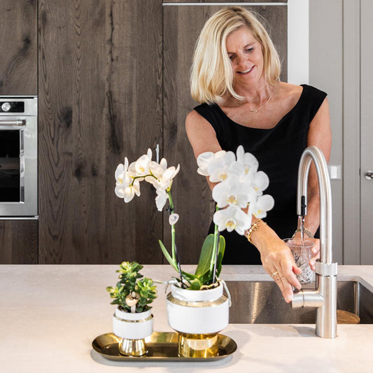Luxe Set van witte orchidee en Succulent op Gouden dienblad