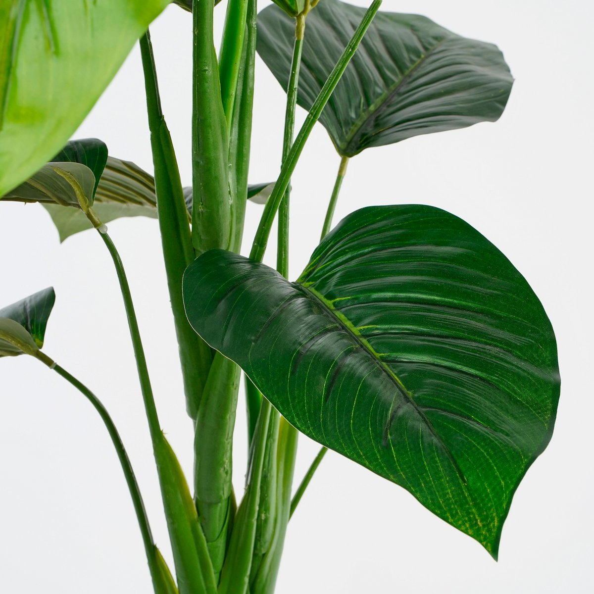 Philodendron Kunstplant H100x Ø70 cm Groen