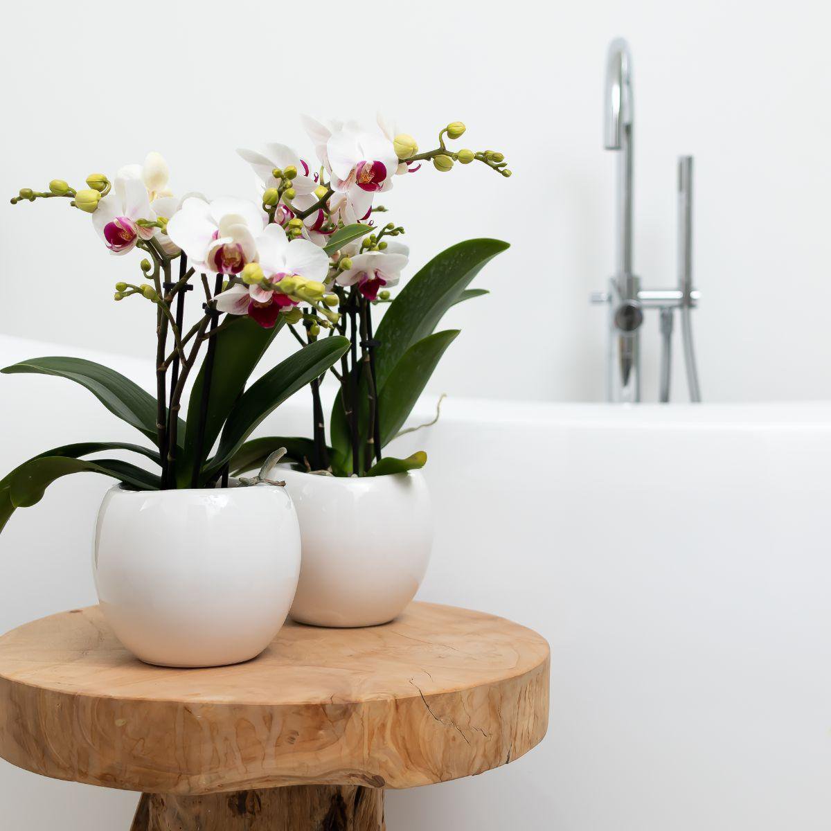 Flow bloempot keramiek wit Ø9cm