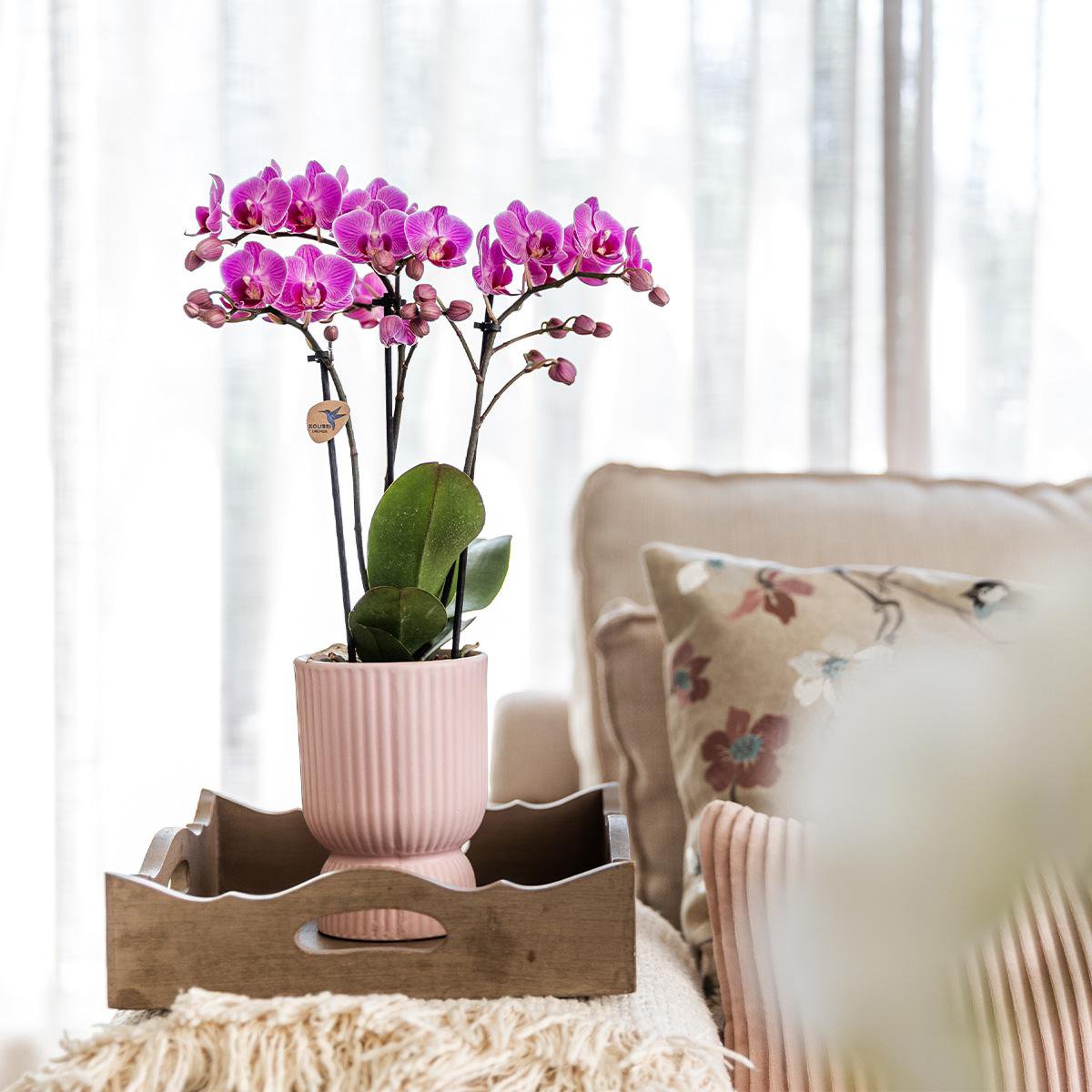 Elegance pot Pink Keramiek Ø12cm